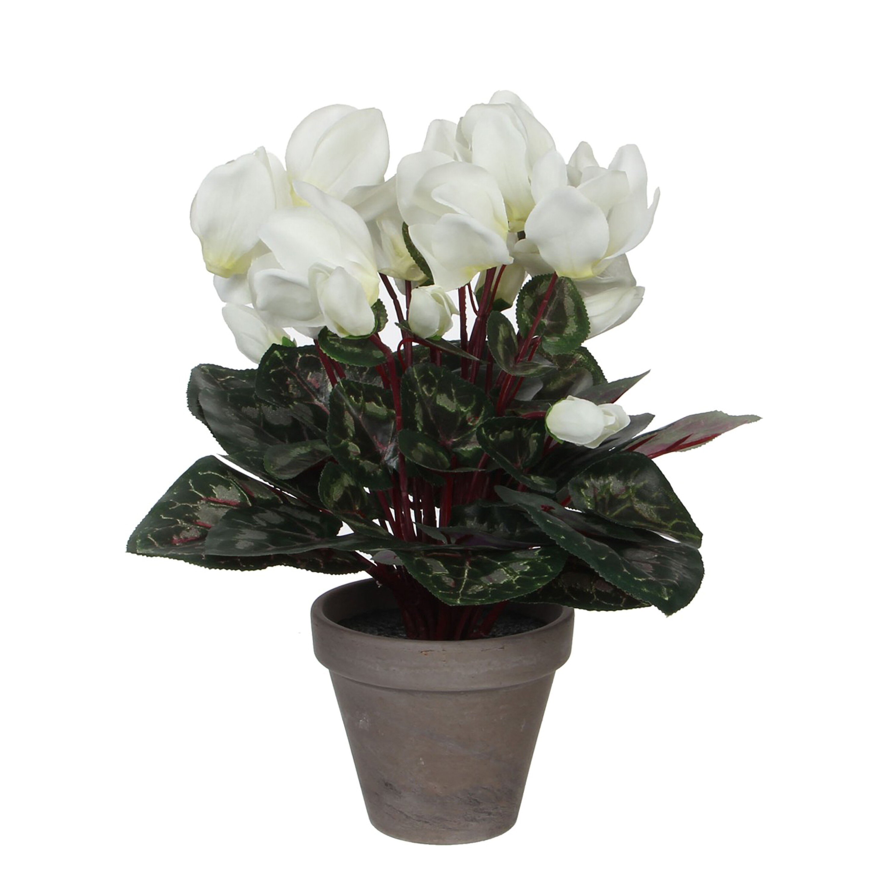 Cyclamen artificielle blanc en pot H30