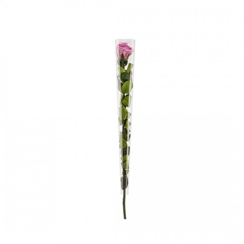 Roses stabilisées lilas (lot de 5)