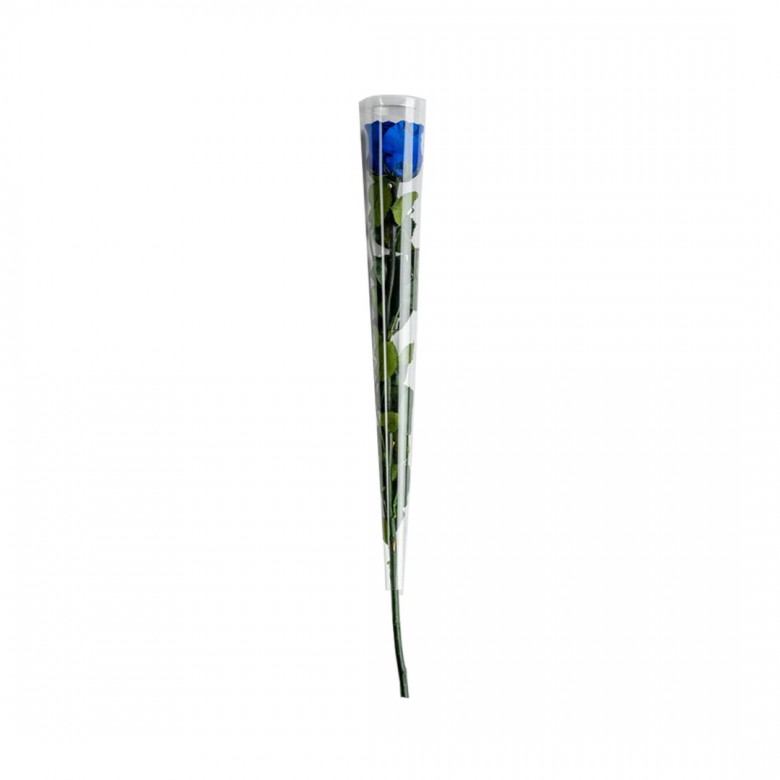 Roses stabilisées bleu foncé (lot de 5)