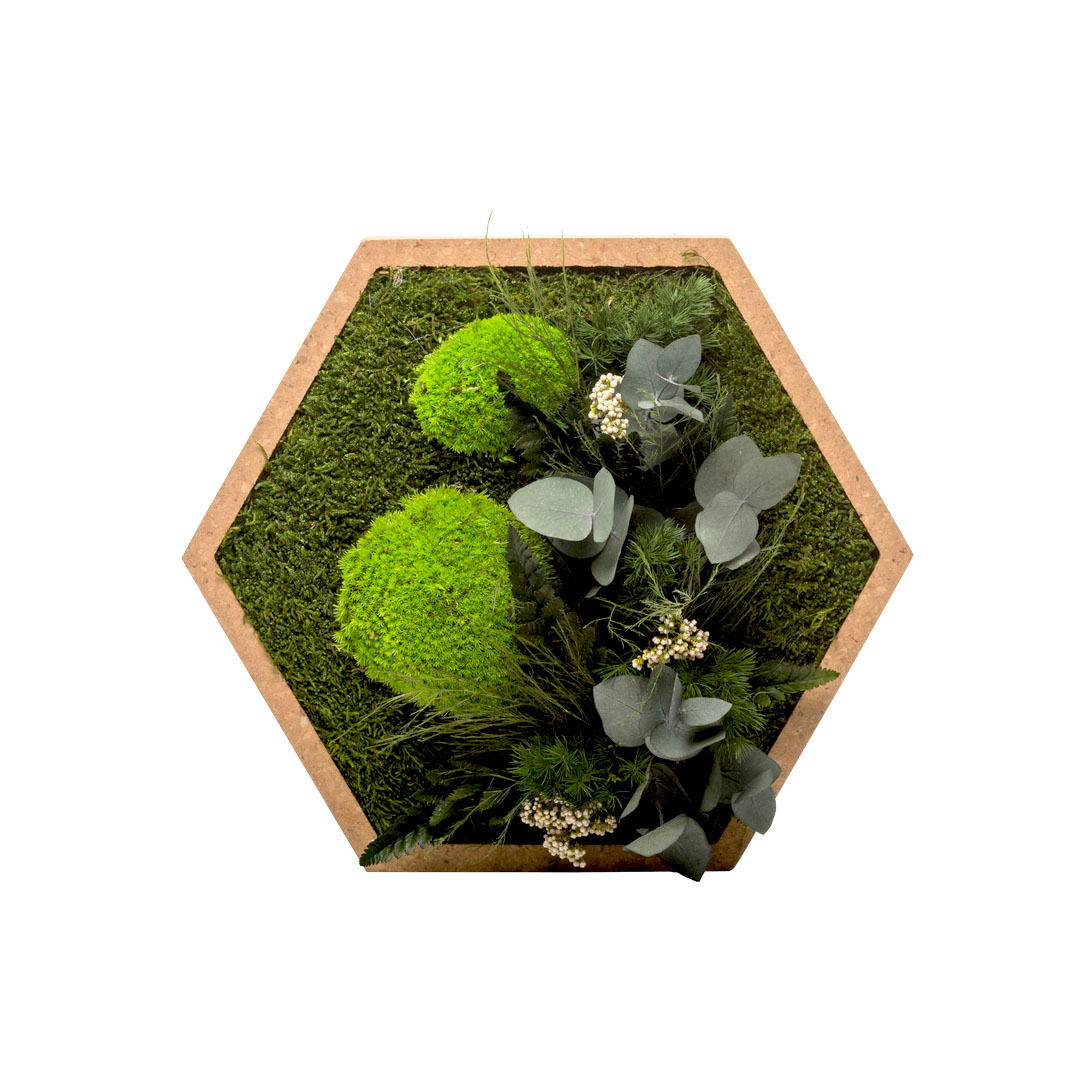 Tableau végétal nature hexagonal L 34 X 29 cm
