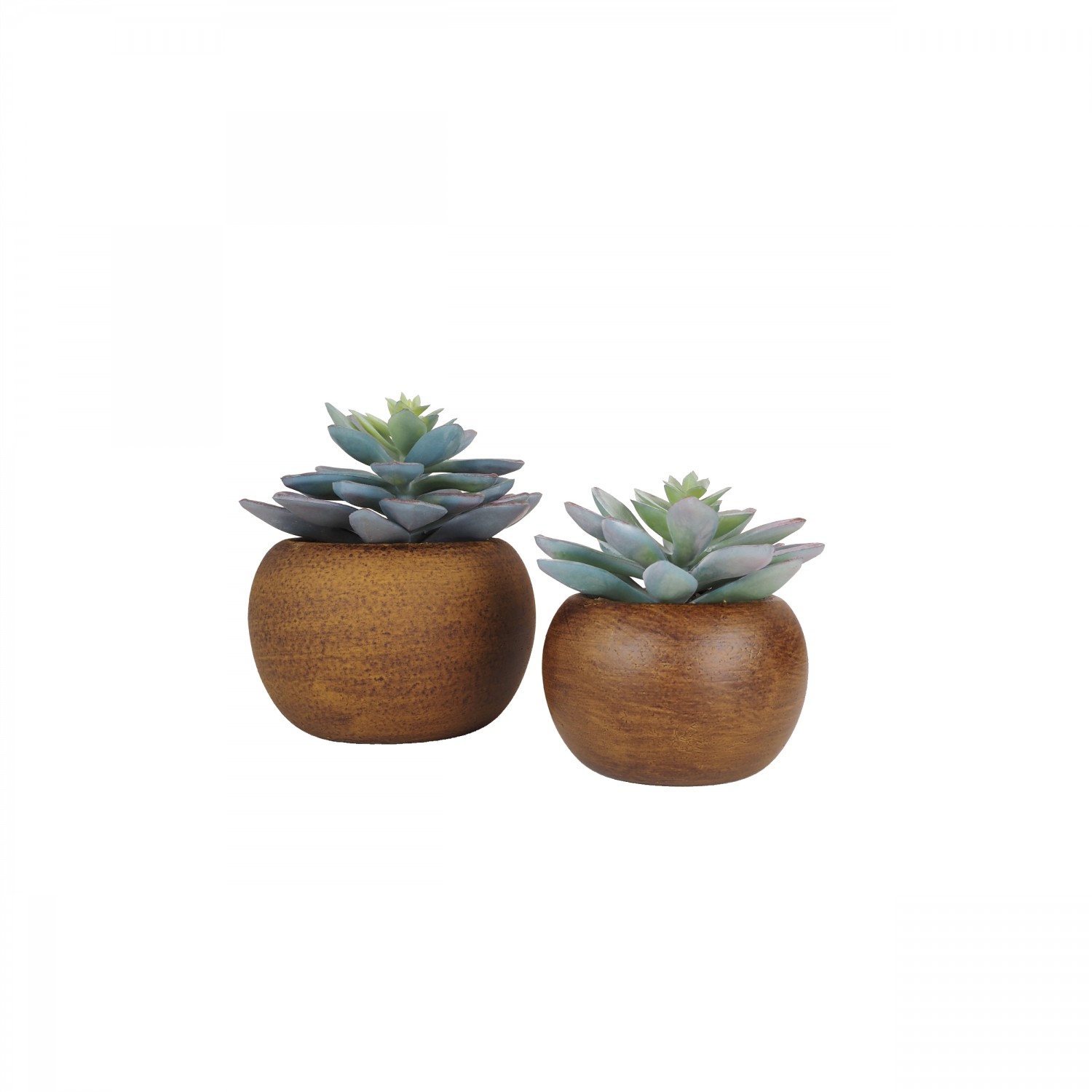 Succulente artificielle lot de 2 pot bois 15cm