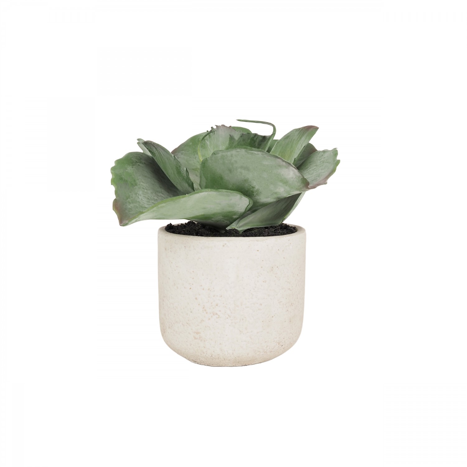 Succulente artificielle pot effet ciment 17cm