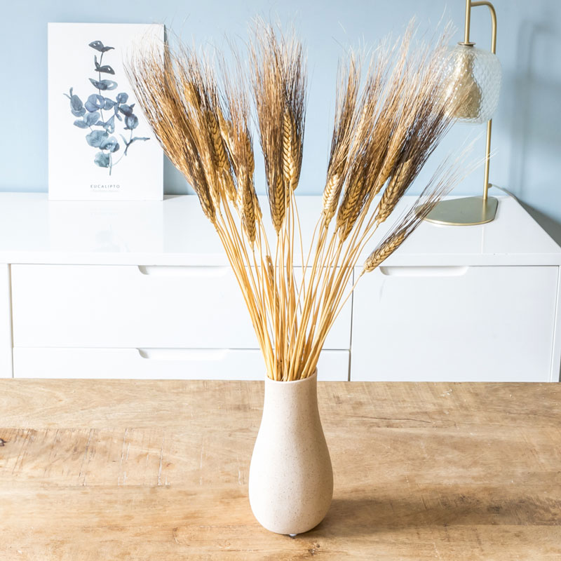 Bouquet de fleurs séchées : Blé barbu noir 250g