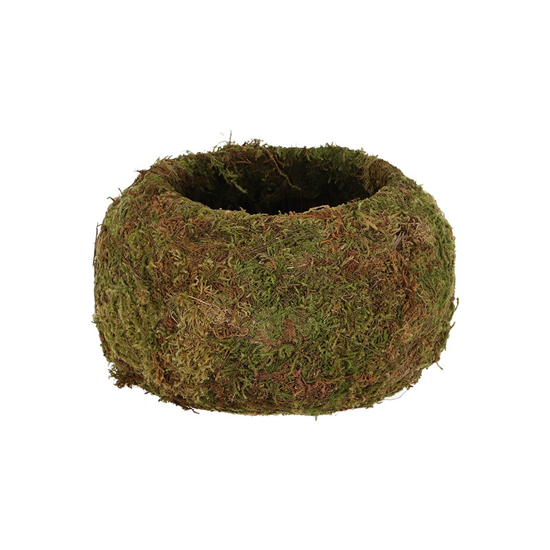 Kokedama boule de mousse 15 cm