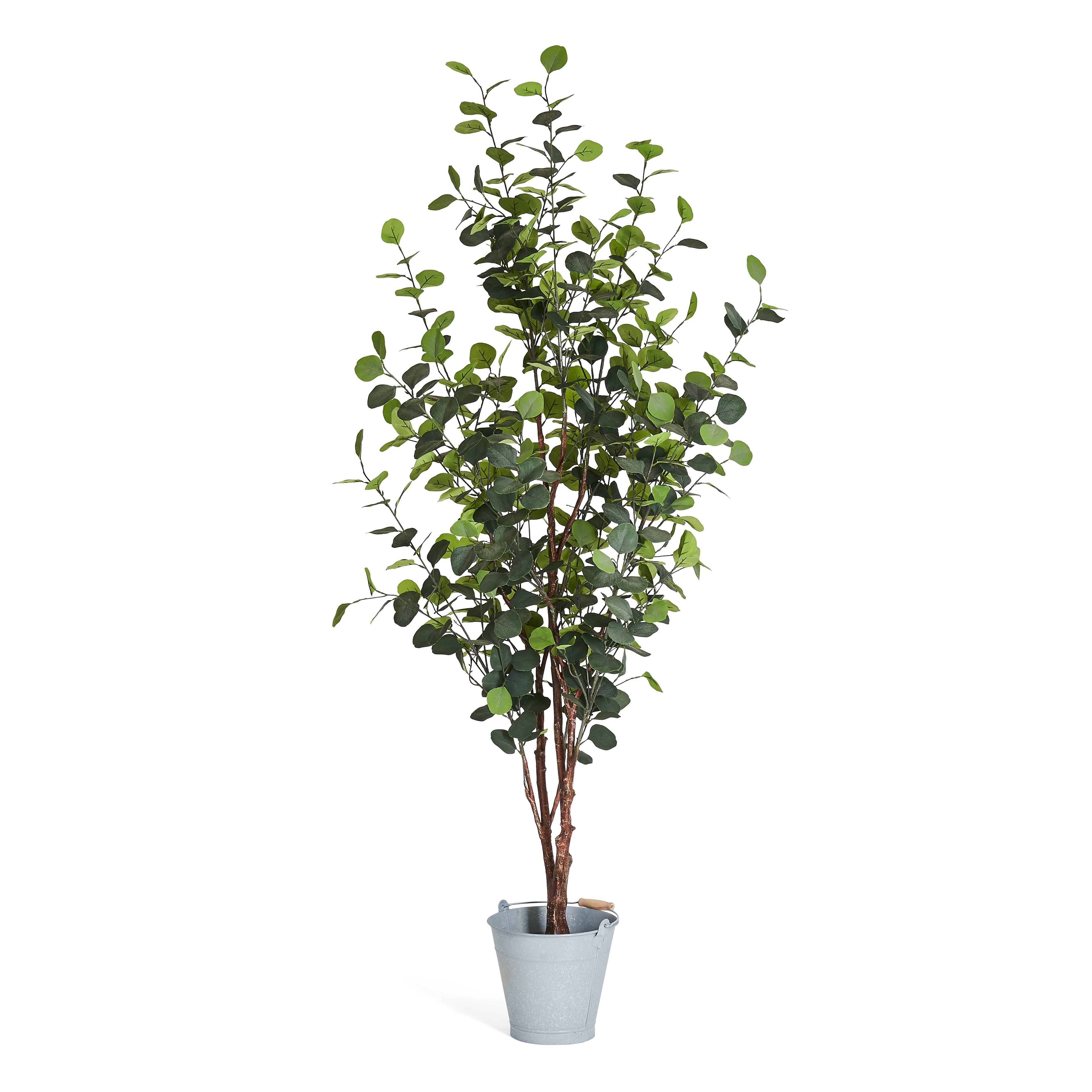 Plante artificielle Eucalyptus 180 cm