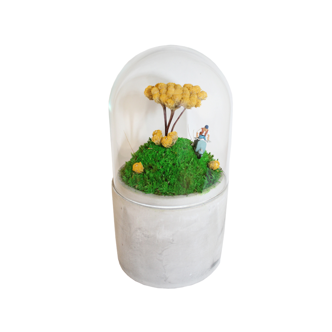 Mini jardin sous cloche en verre fleurs jaunes H.16cm