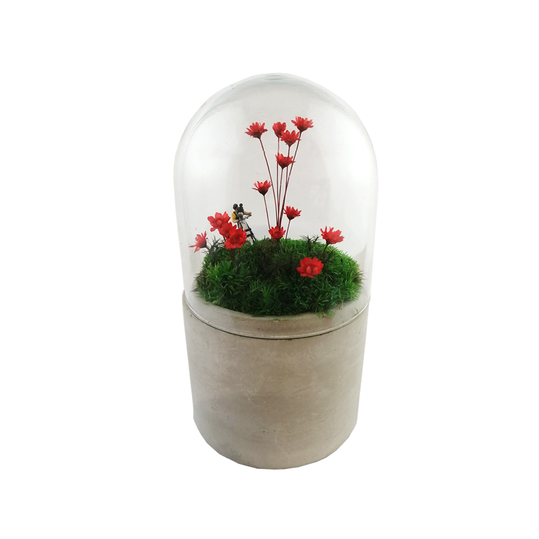 Mini jardin sous cloche en verre fleurs rouges H.16cm