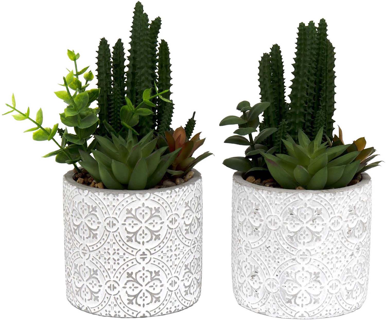 Plante succulente artificielle pot en ciment (lot de 2)