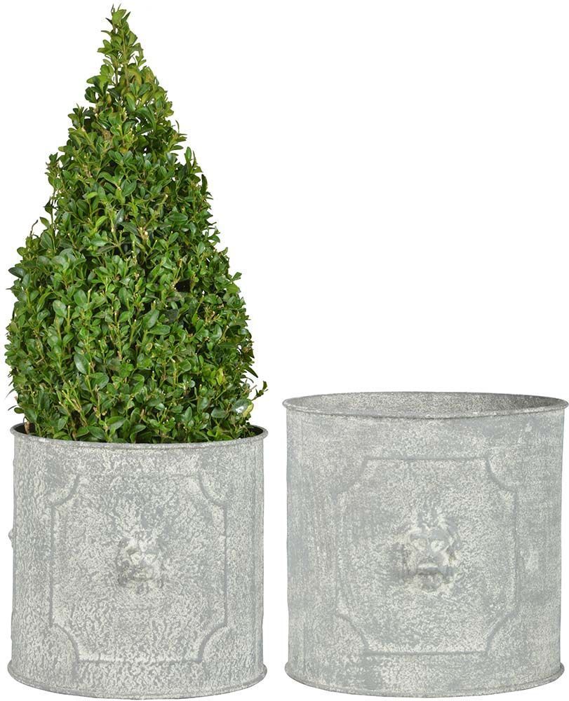 Pot de fleurs ronds lion (lot de 2)