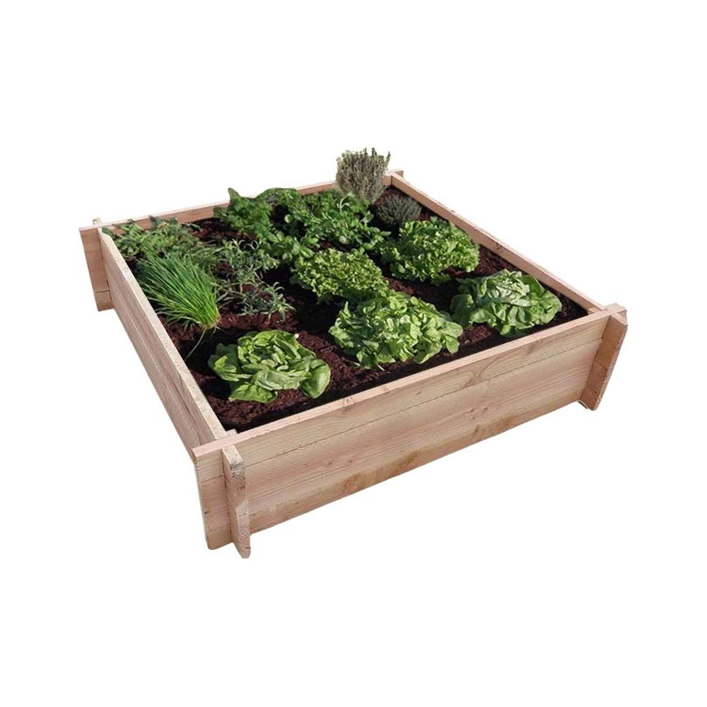 Carré potager en bois de douglas