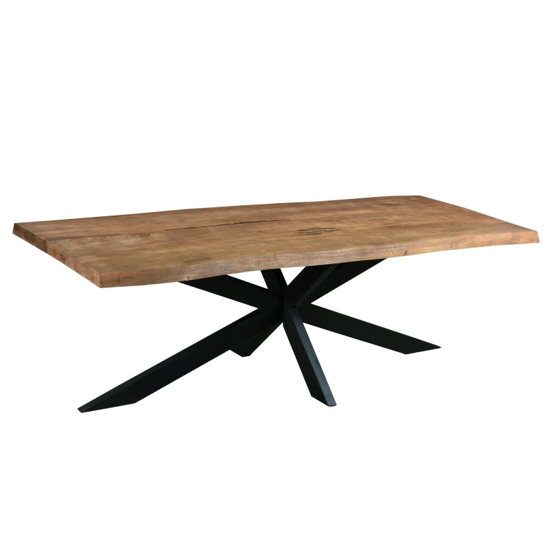 Table repas 8/10 personnes L200, Manguier tree top »,Spider »