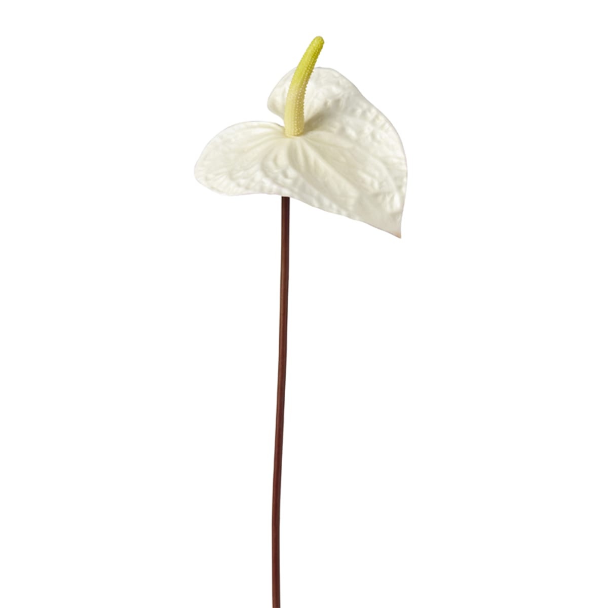 Tige d'anthurium artificielle blanche H67