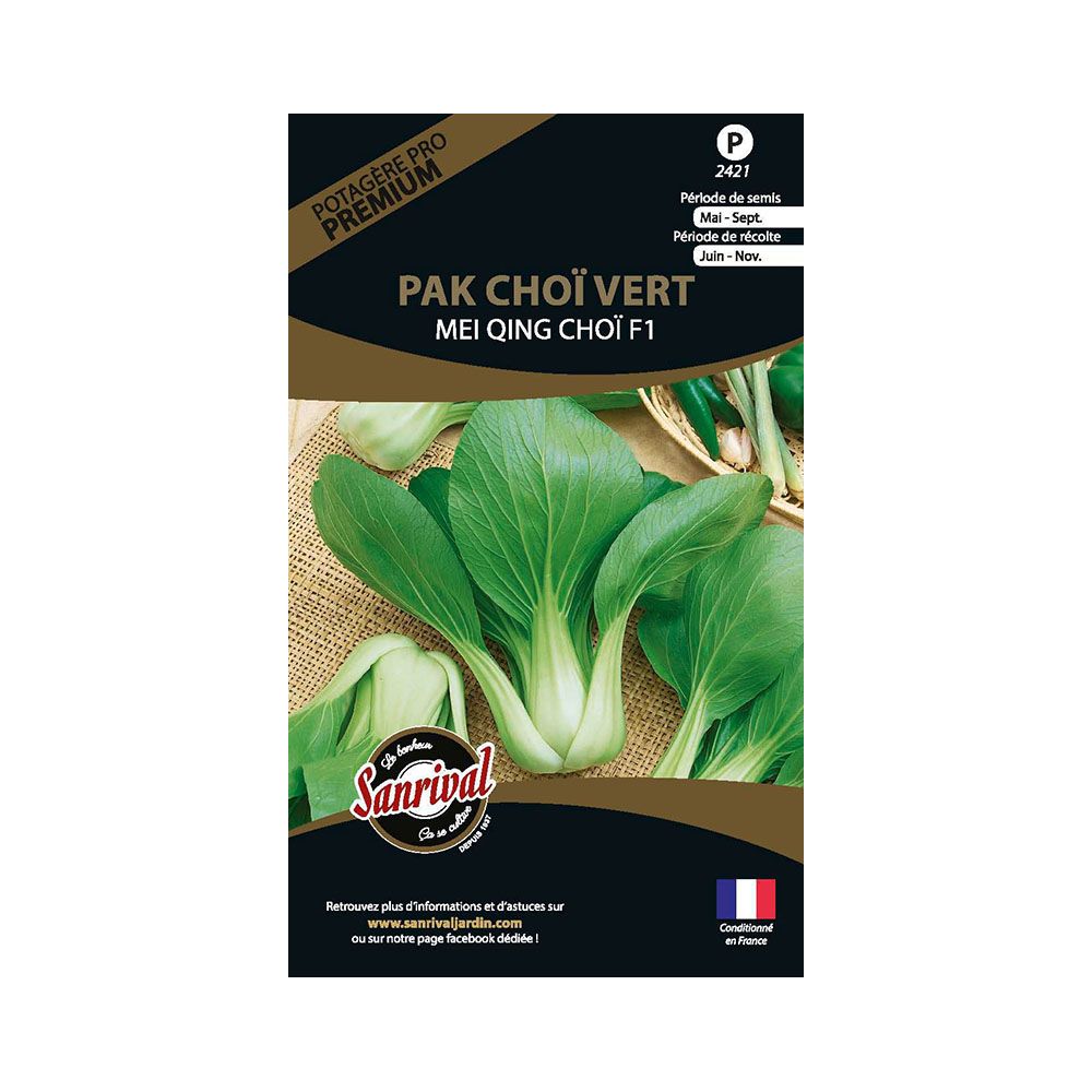 Graines potagères premium pak choï vert