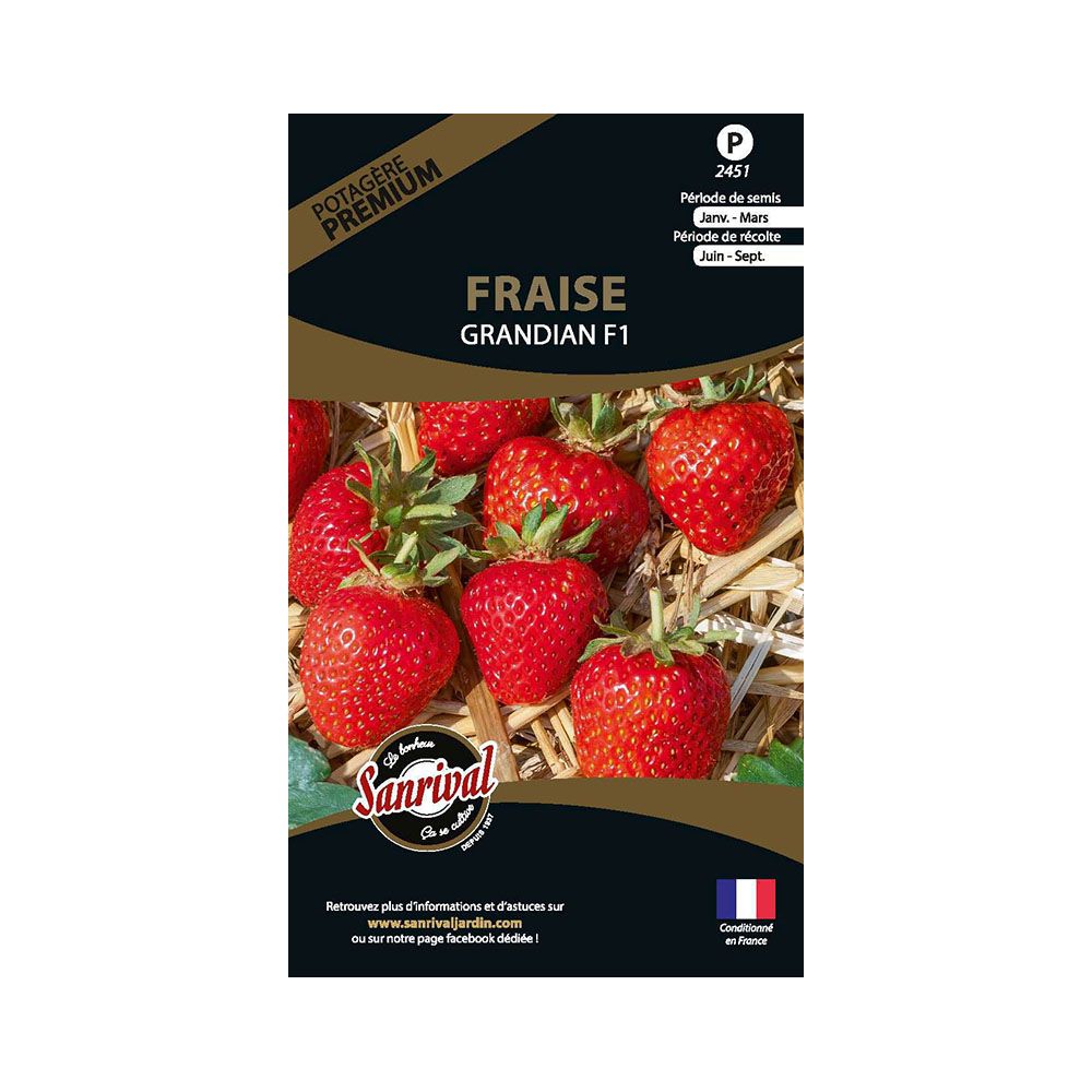 Graines potagères premium fraise grandian