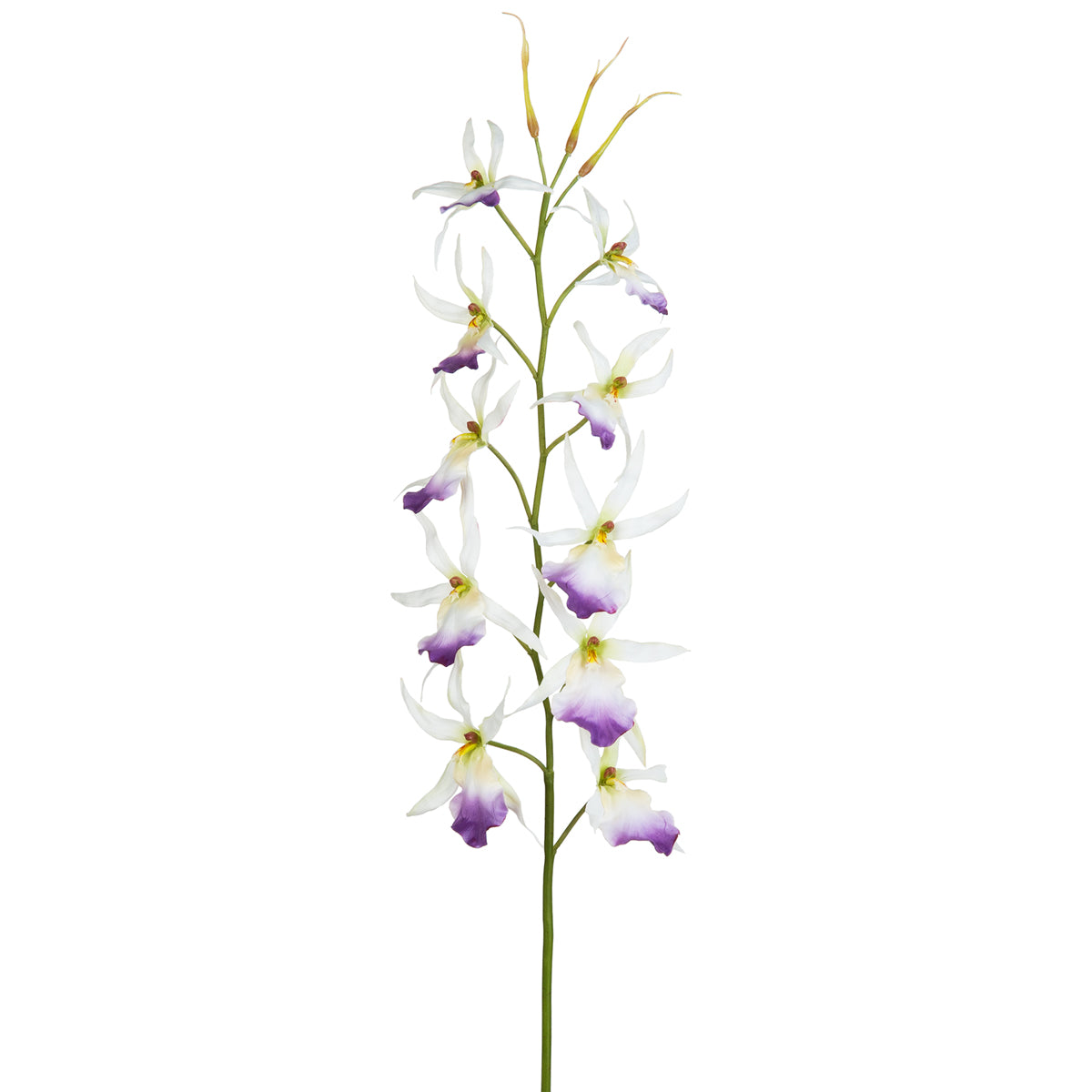 Tige d'orchidée spider artificielle blanche et violette H116