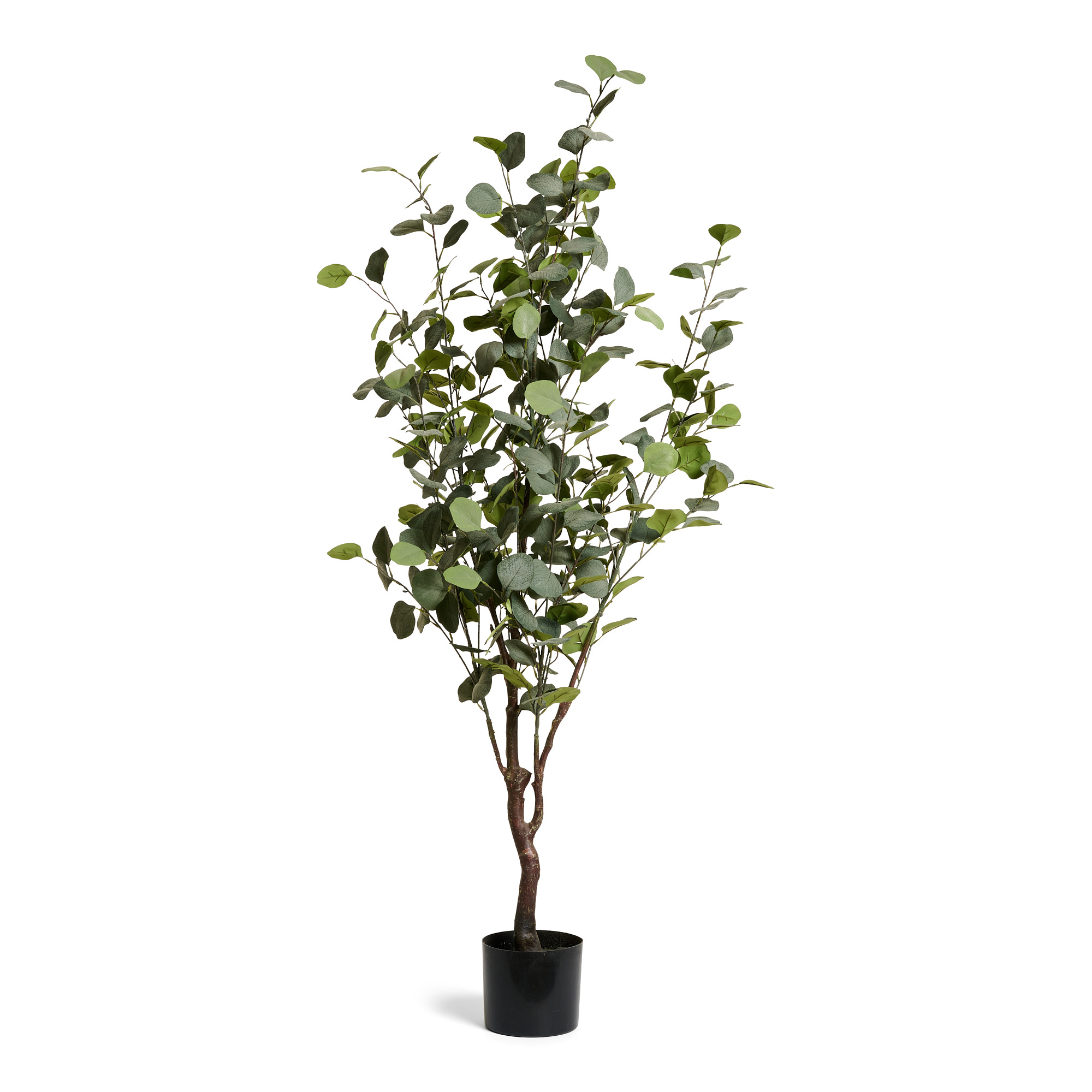 Plante artificielle Eucalyptus