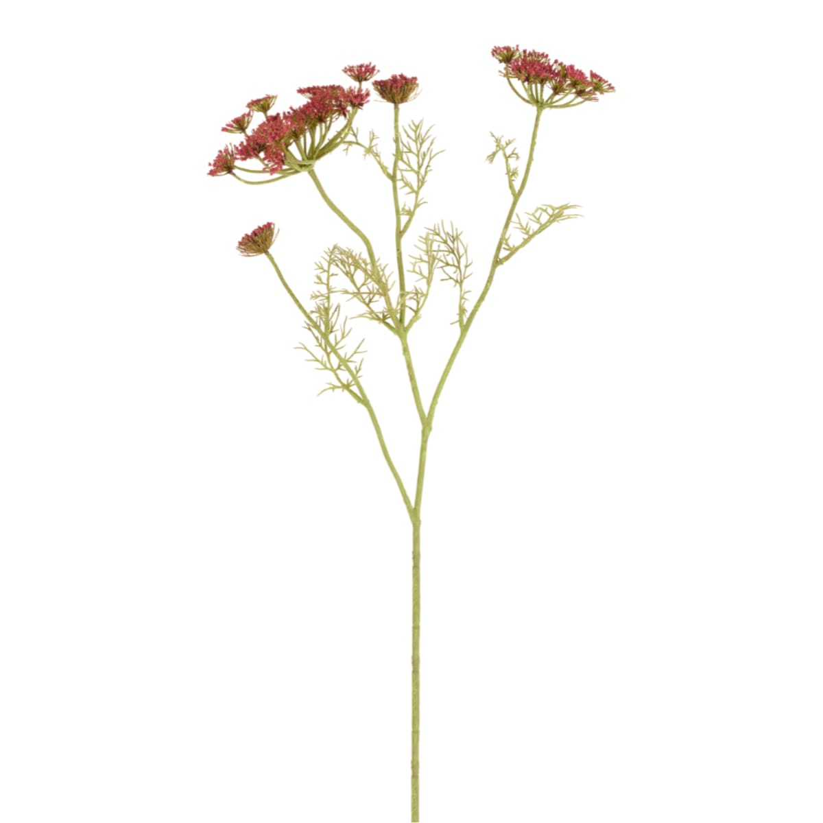 Tige de carotte sauvage artificielle rouge H80