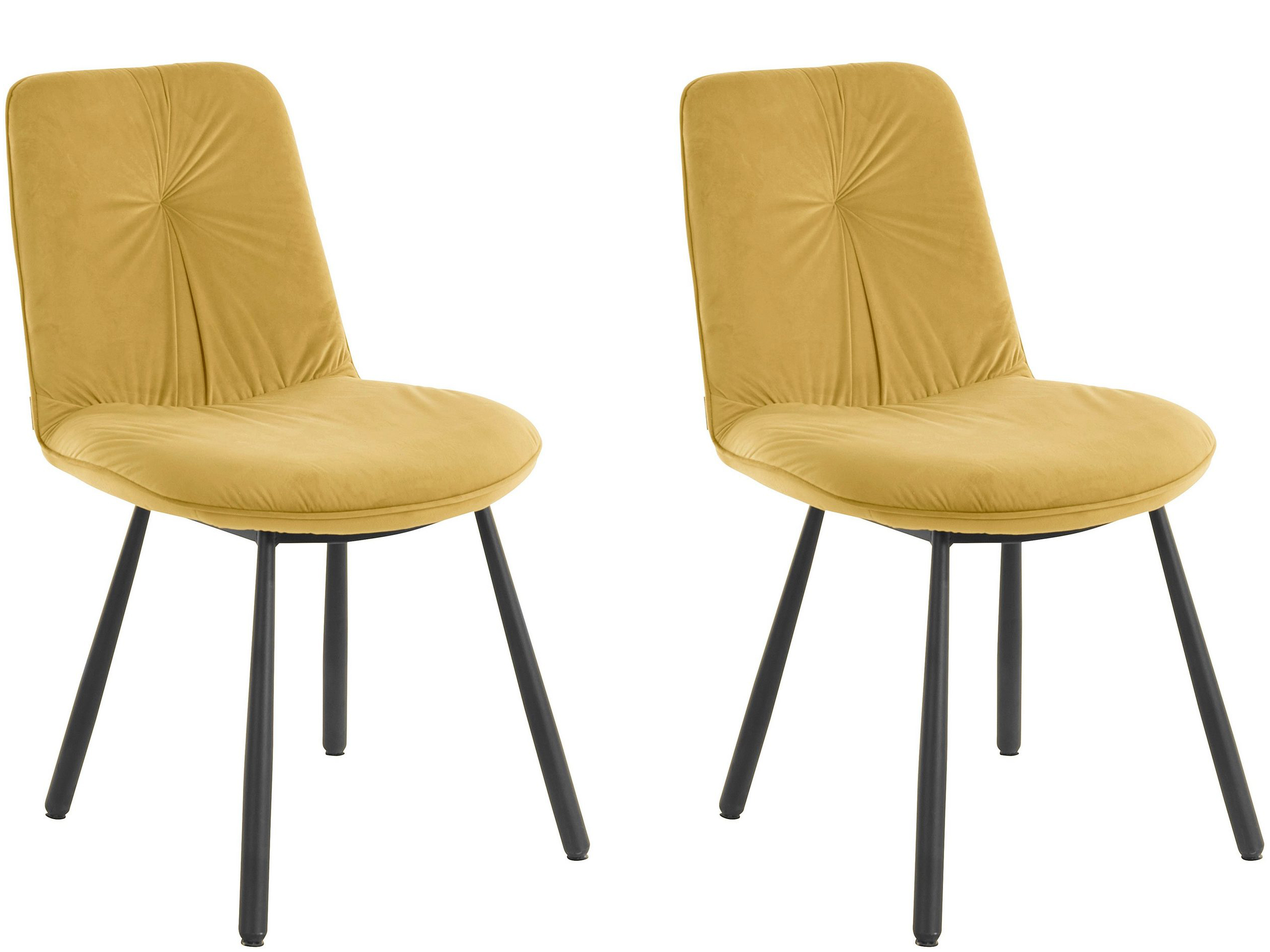Lot de 2 chaises de salle à manger rembourrées en velours jaune
