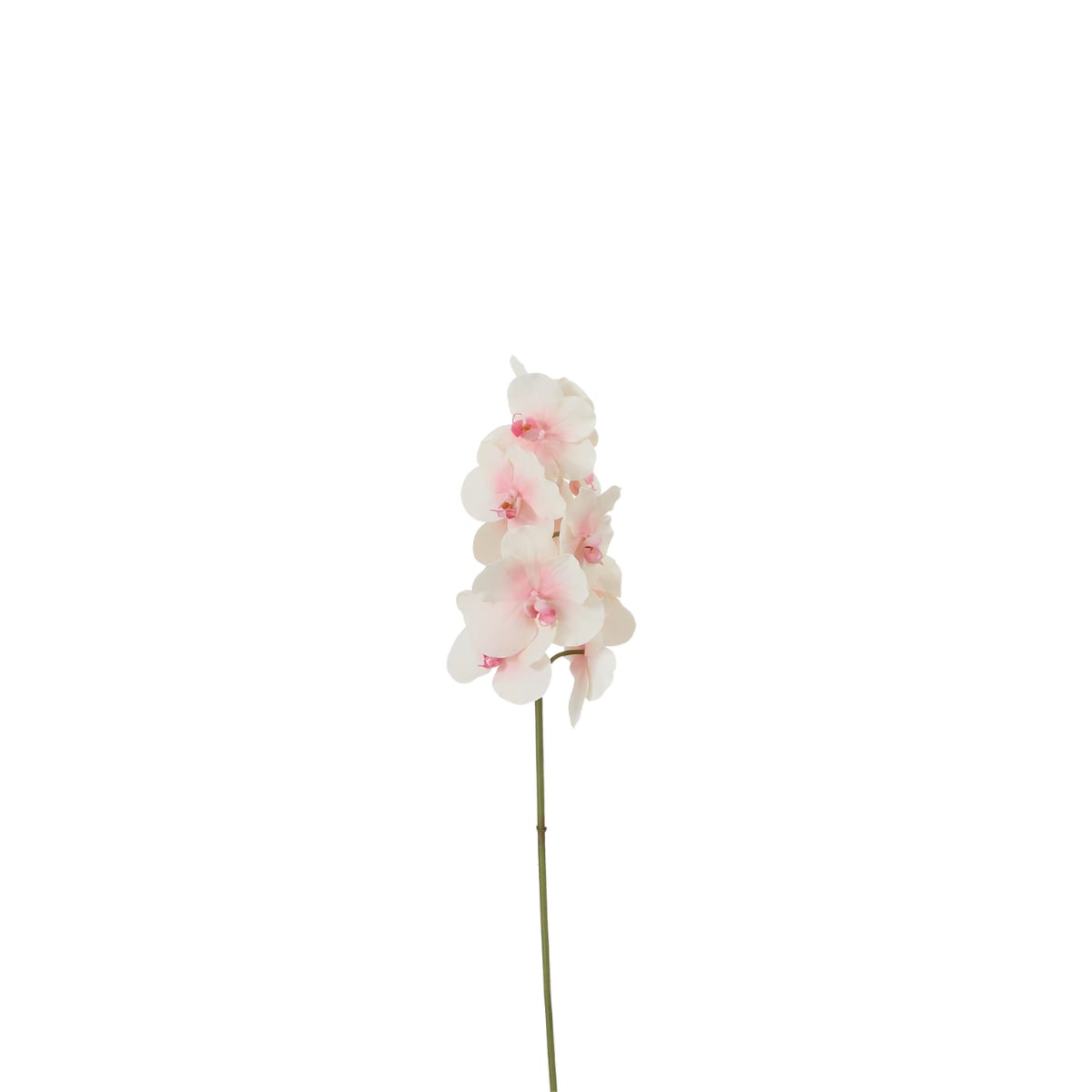 Tige d'orchidée phalaenopsis artificielle rose et blanche H50