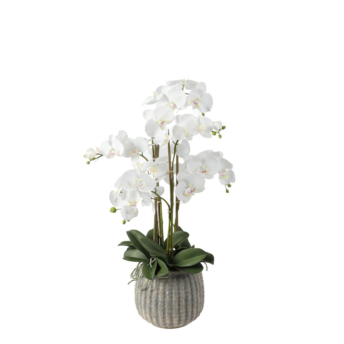 Orchidée artificielle en pot blanche H85