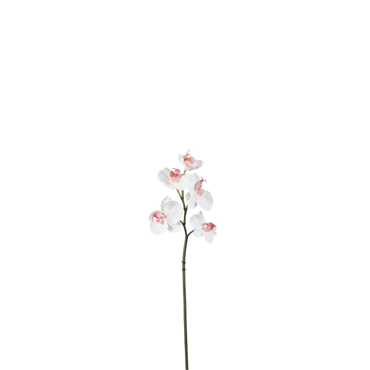 Tige d'orchidée phalaenopsis artificielle blanche H45