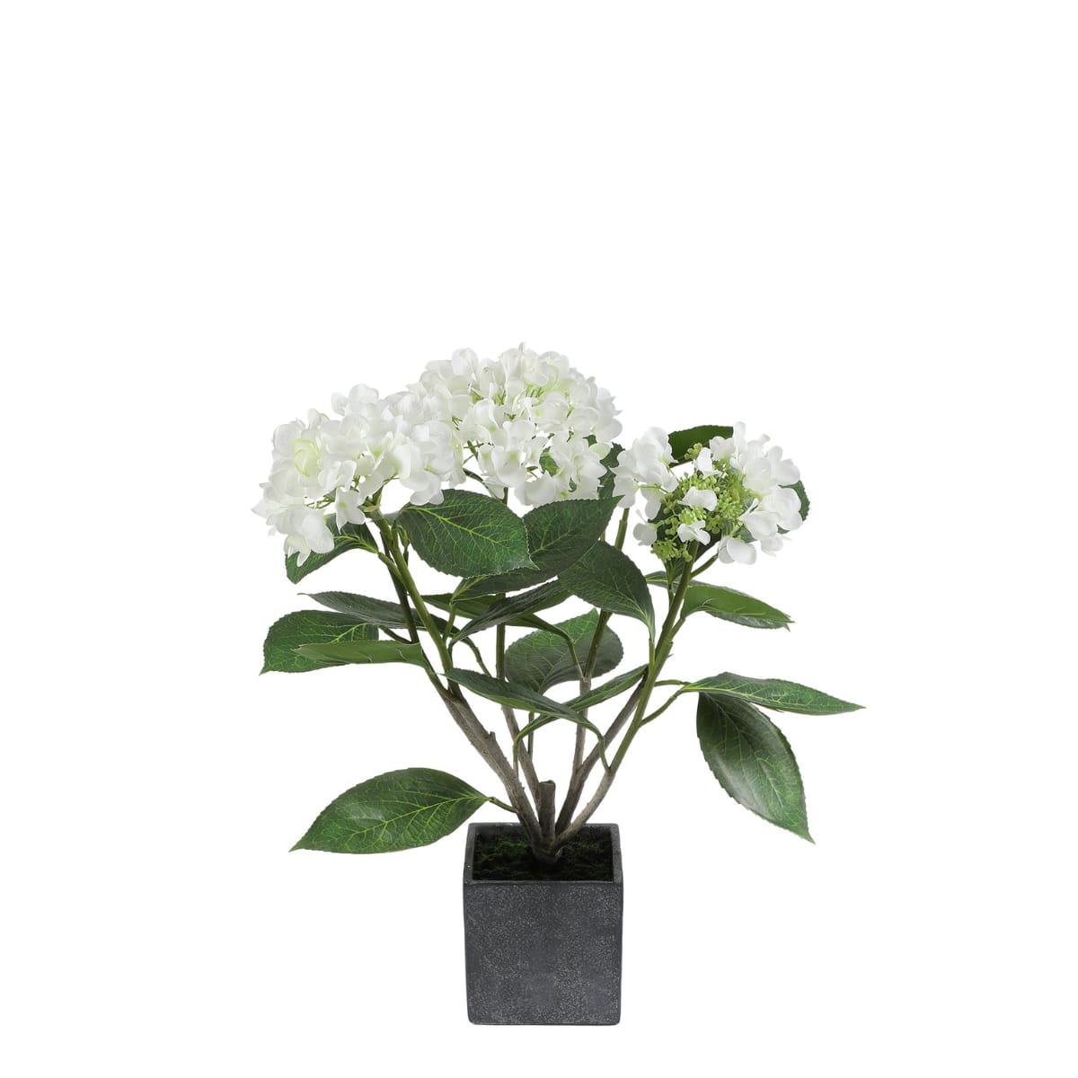 Hydrangea artificiel en pot céramique blanc H58