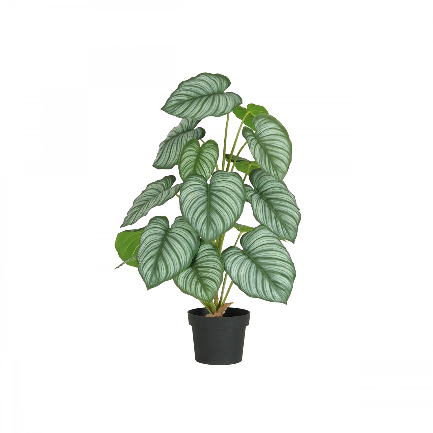 Plante verte calathea artificiel 62cm