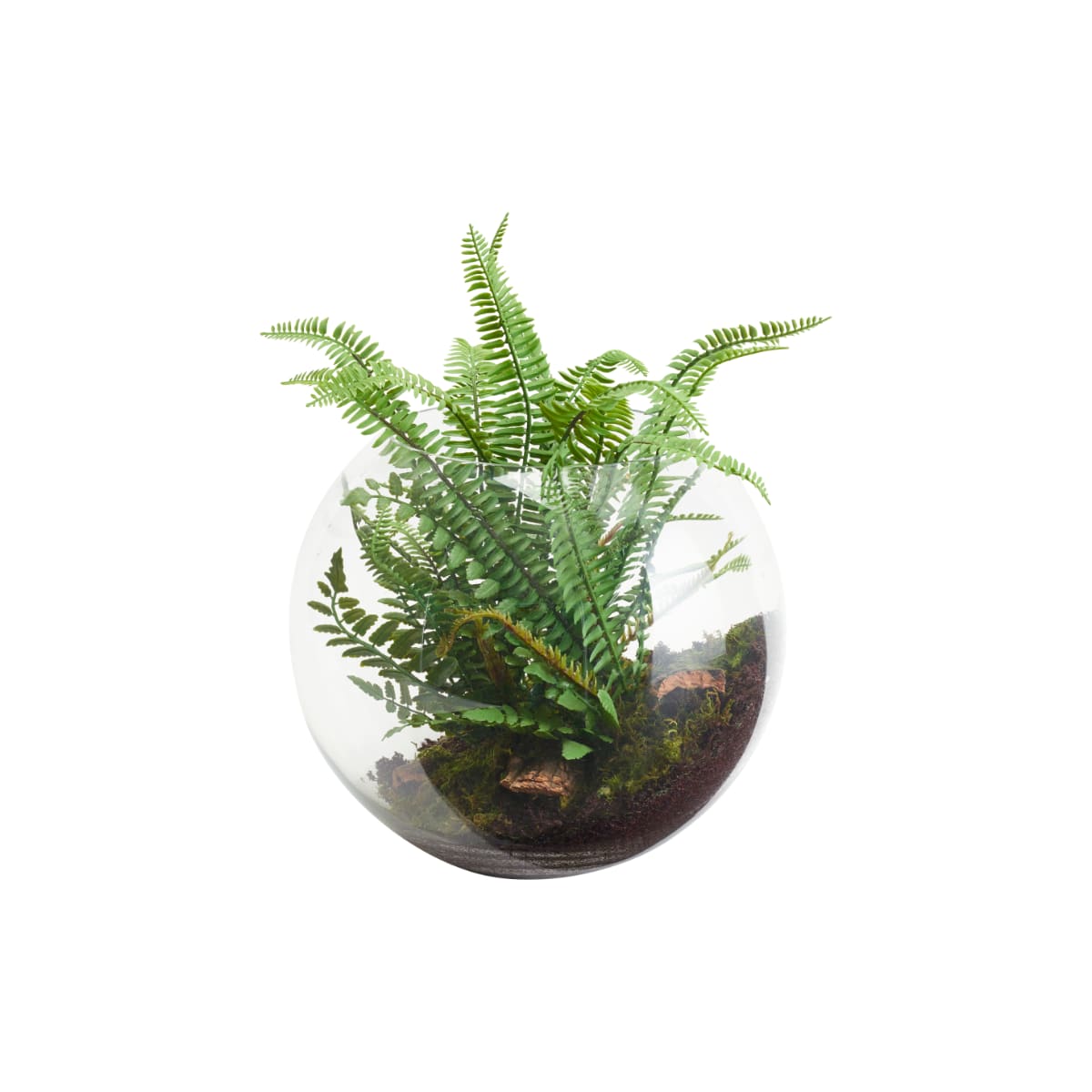 Terrarium avec fougère artificielle verte L32