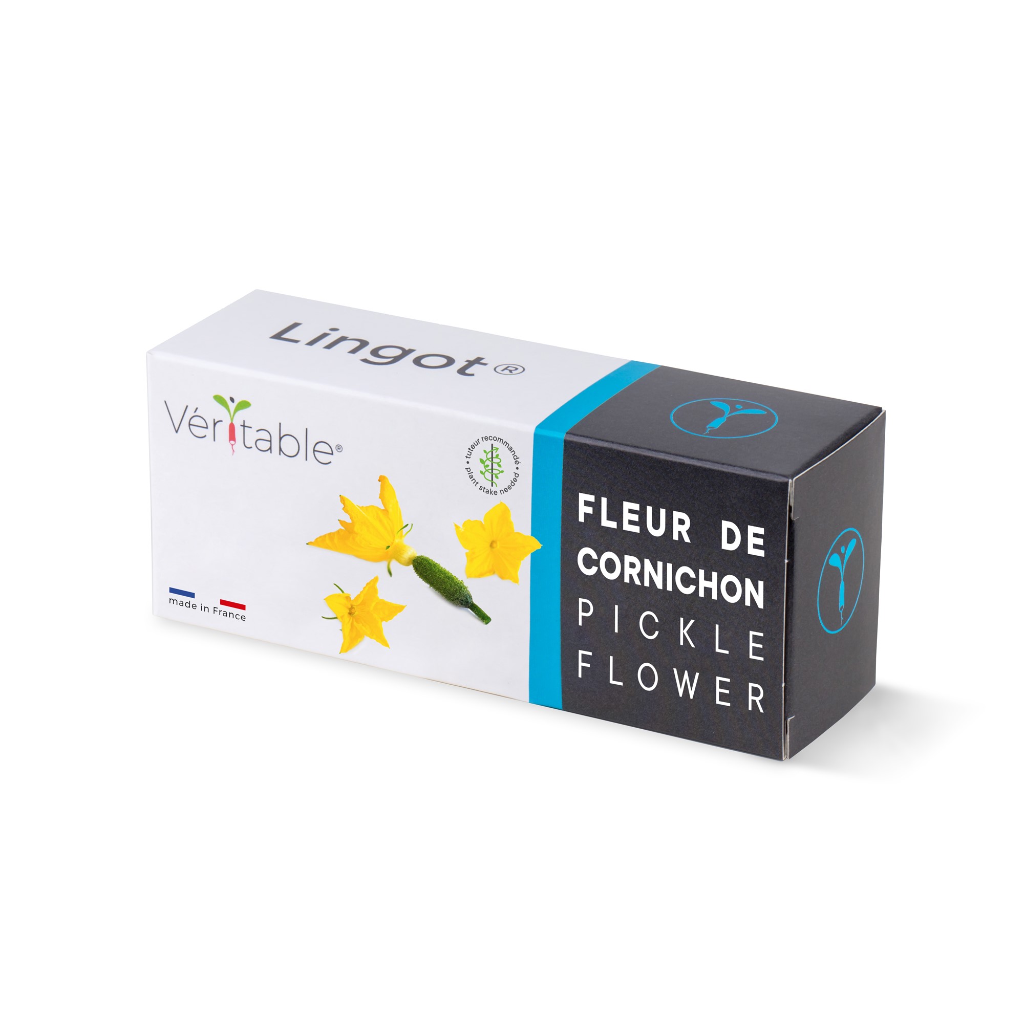 Lingot Fleur de cornichon - Recharge prête à l'emploi