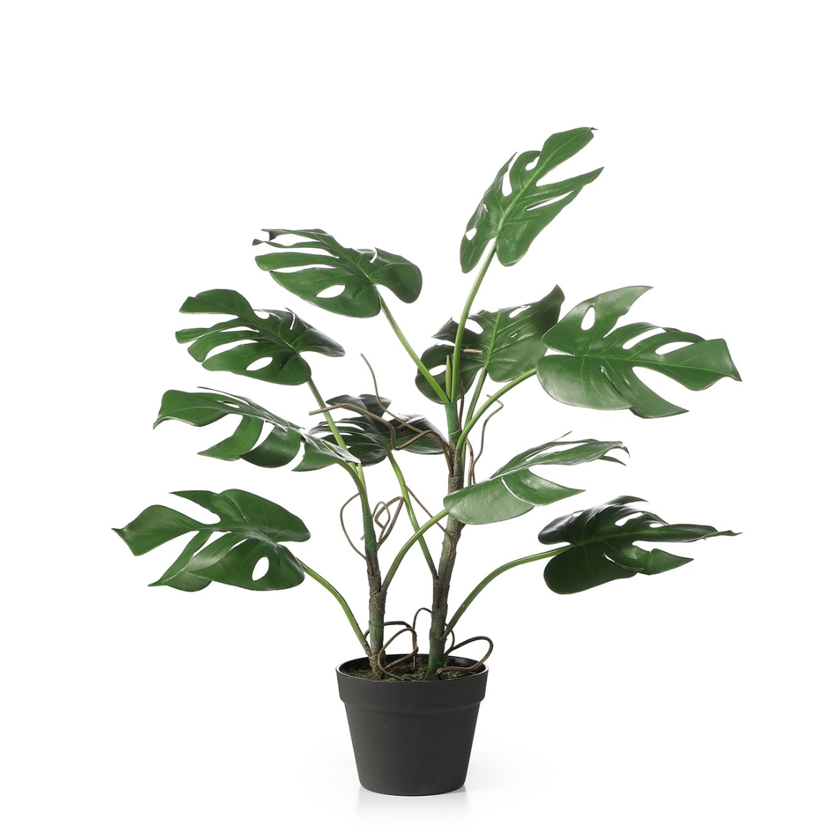 Monstera artificielle en pot vert H75