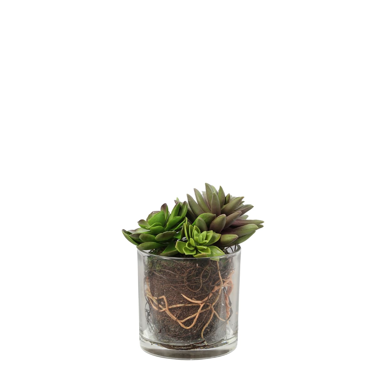 Mix de succulentes artificielle en vase transparent verte H17