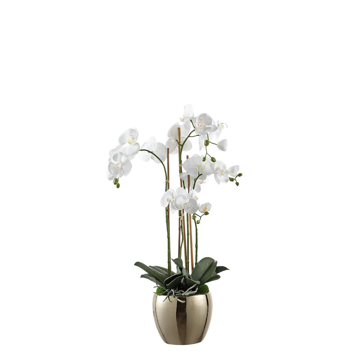 Composition d'orchidée artificielle avec vase doré blanche H69