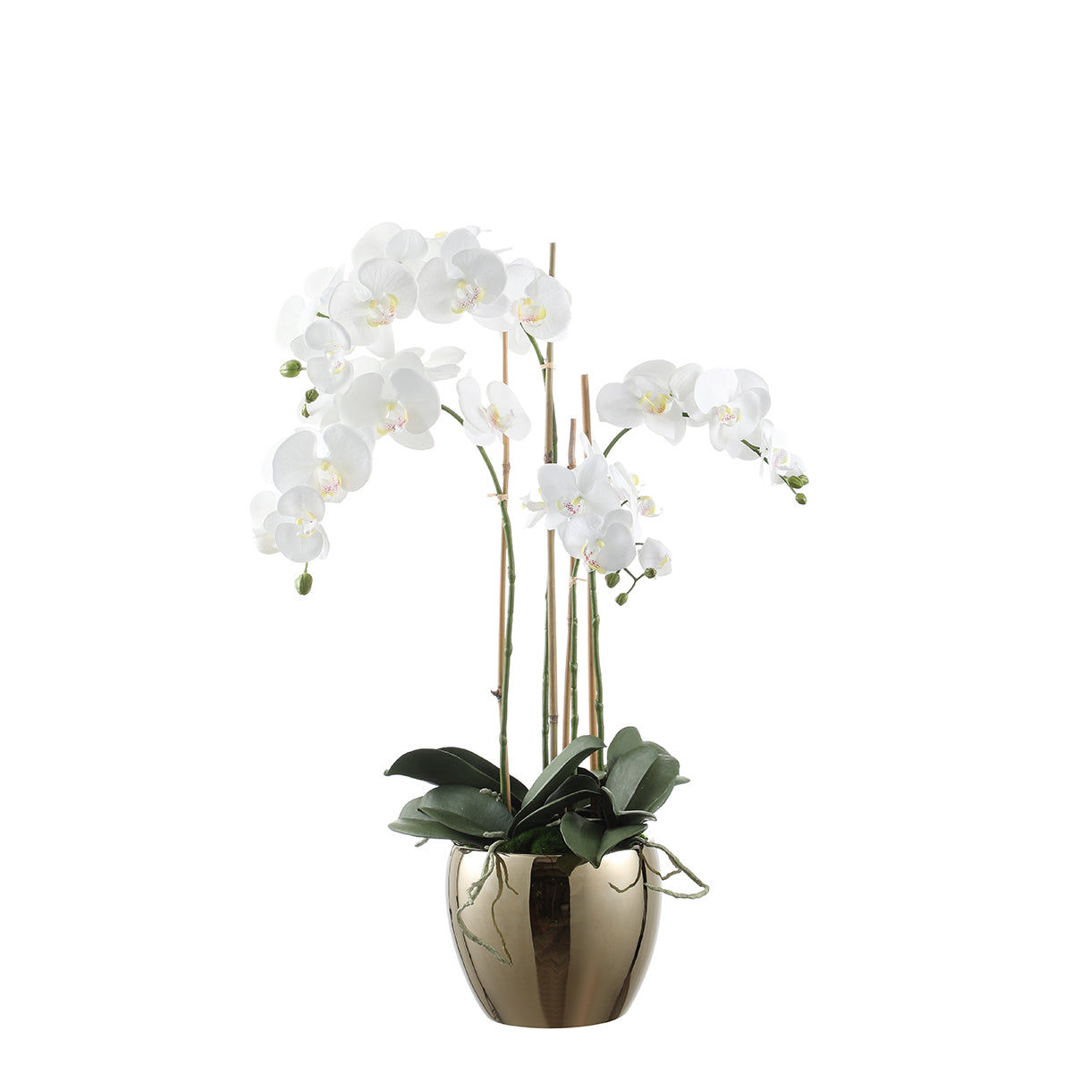 Composition d'orchidée artificielle avec vase doré blanche H79