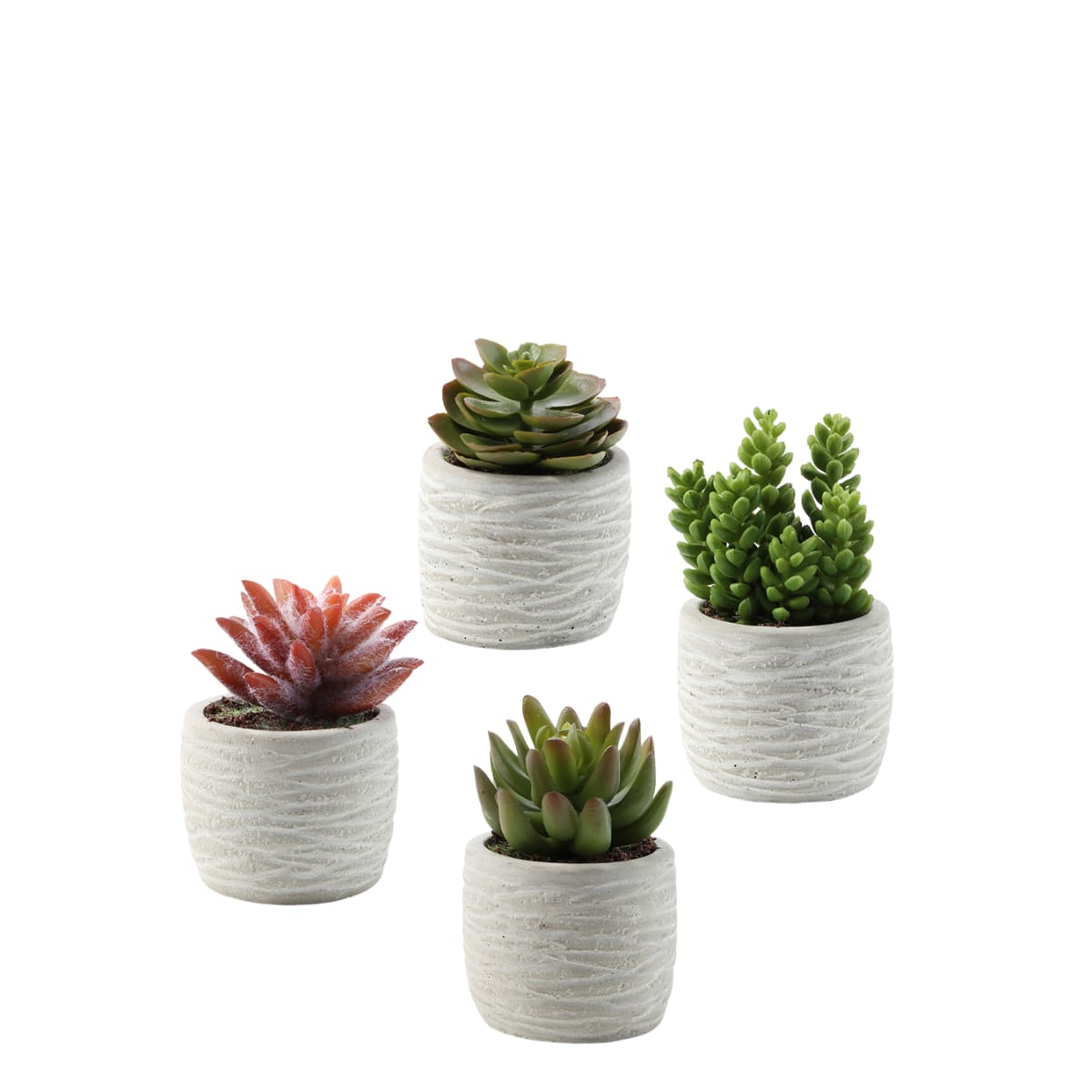 Set de 4 succulentes artificelles en pot gris vertes H14