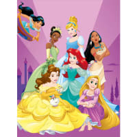 Grande Carte Princesses Disney