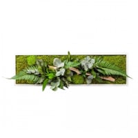 STAB NATURE - Tableau végétal stabilisé nature pano 20 x 70 cm