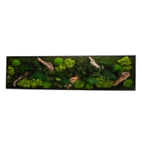 STAB CANOPE - Tableau végétalisé panoramique L noir 25x115cm