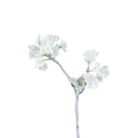 Cerisier des neiges H48cm
