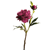 Pivoine artificielle Ilona H36cm