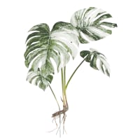 Monstera plante artificielle verte panaché H43