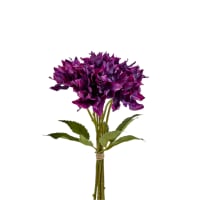 Bouquet d'Hellébores
