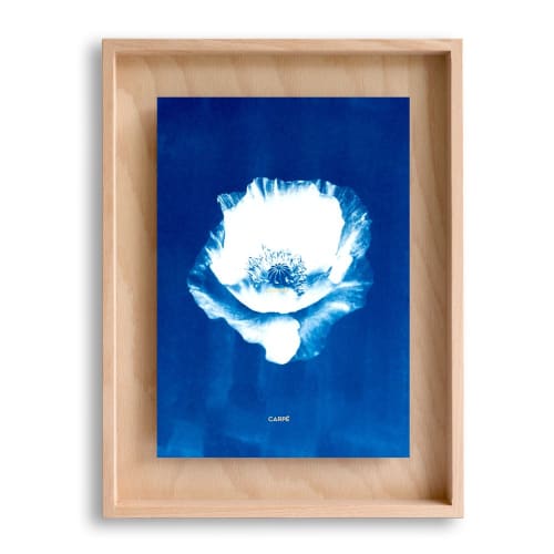 Déco Toiles et tableaux | Cadre en bois cyanotype pavot 40x30cm - AZ01677