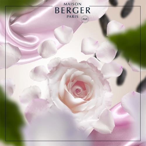 Déco Senteurs | Parfum Bouquet Parfumé Touche de Soie 200 ml - CL42150