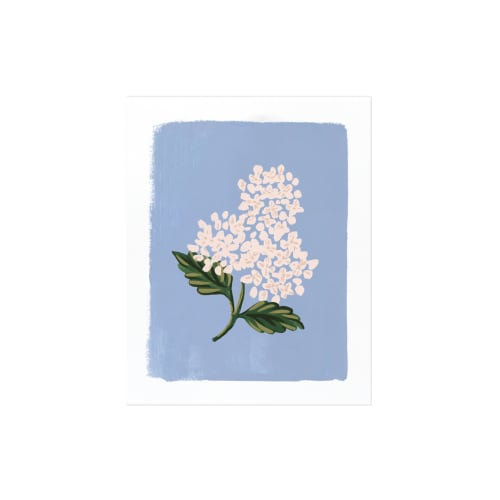 Déco Affiches | Affiche decorative hydrangea bloom - GR90664