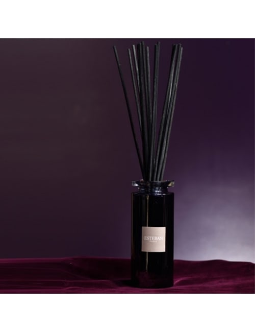 Déco Senteurs | Bouquet parfumé initial figue - EZ35298