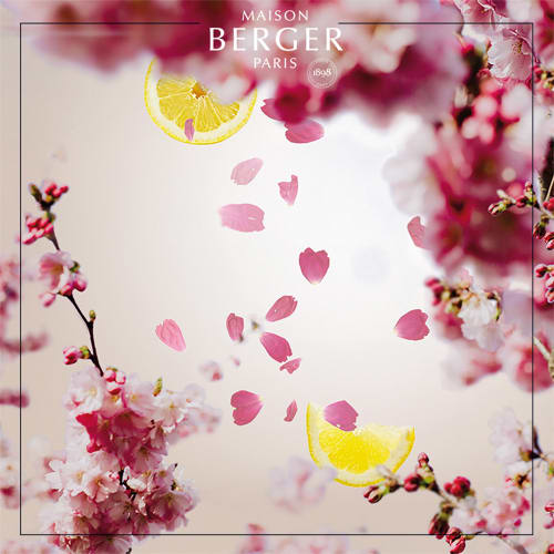 Déco Senteurs | Parfum Lampe Berger Cerisier en Fleurs 500 ml - XN13375