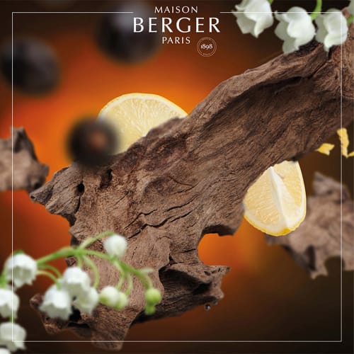 Déco Senteurs | Parfum Lampe Berger Bois d'Orient 500 ml - KZ80421