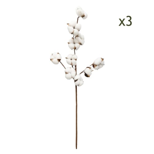 Lot de 3 Fleurs Séchées Naturelles Branches de Coton, H.70cm CARLEE |  Maisons du Monde