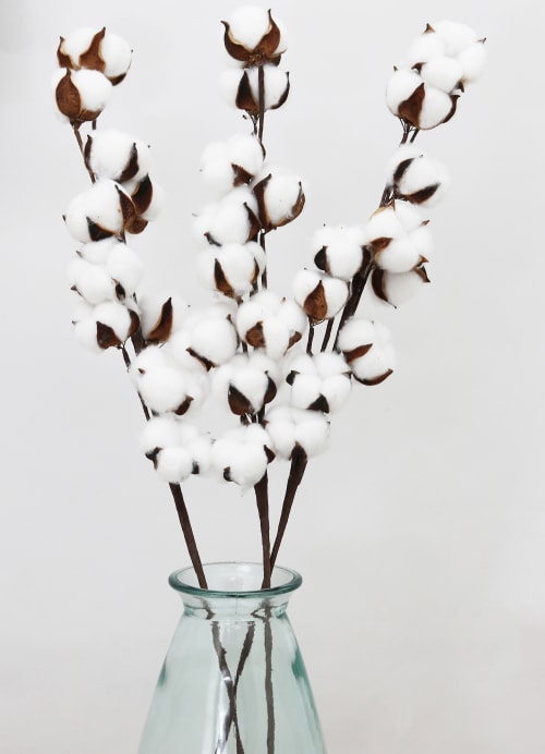 Lot de 3 Fleurs Séchées Naturelles Branches de Coton, H.70cm CARLEE |  Maisons du Monde