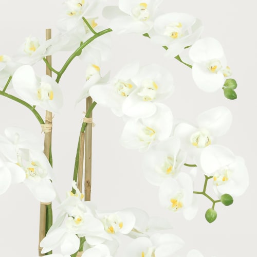 Orchidées artificielles blanches 135cm Couleur blanc Ligne Deco